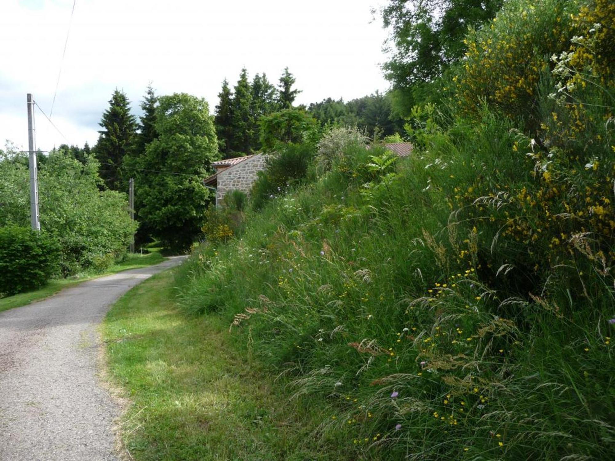 Charmant Gite Avec Terrasse, Cheminee Et Jardin, A Proximite Des Bois, Animaux Acceptes - Fr-1-496-205 Saint-Jean-Soleymieux Exterior foto